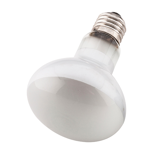 100W Basking Spot Lamp