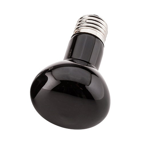 50W Nocturnal Heat Lamp